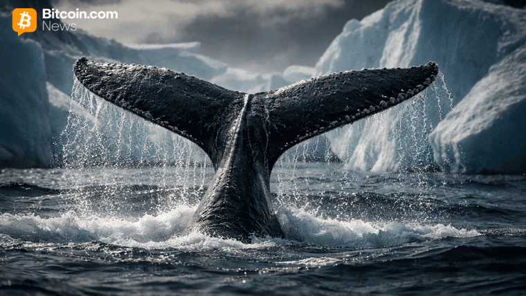 Bitcoin Whale Last Active in 2014 Executes Five-Transaction Move Totaling 500 BTC
