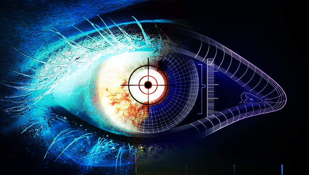 Biometric's Application within Bitcoin's Hierarchy