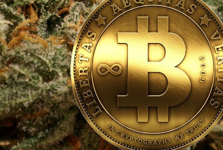 Cannabis Security Firm Goes Bitcoin to Solve Industry’s Banking Problem