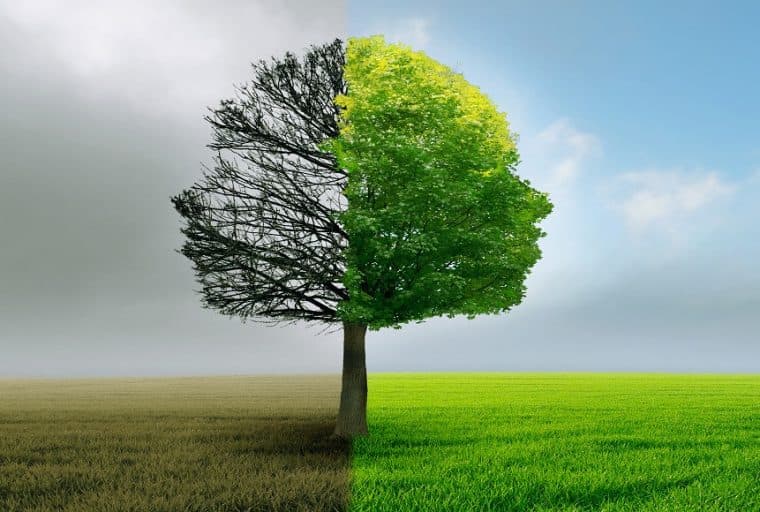 Bitcoin: the Answer to Financial Infrastructure Bottlenecks