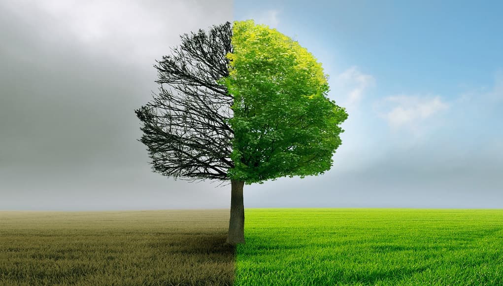 Bitcoin: the Answer to Financial Infrastructure Bottlenecks