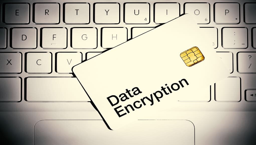 Encryption's Fate Uncertain as New York & France Take Public Stances