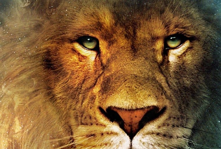 Mozilla's Co-Founder on His 'Brave' New Bitcoin-Powered Browser