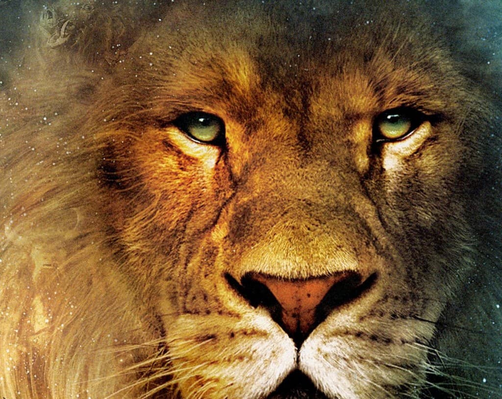 Mozilla's Co-Founder on His 'Brave' New Bitcoin-Powered Browser