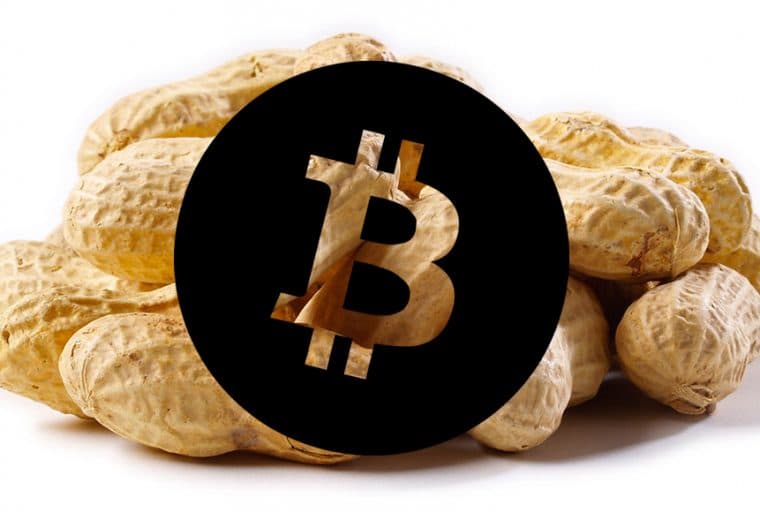 Recurring Payments Button for Bitcoin 'Peanuts' Unveiled