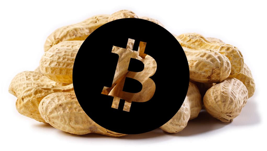 Recurring Payments Button for Bitcoin 'Peanuts' Unveiled