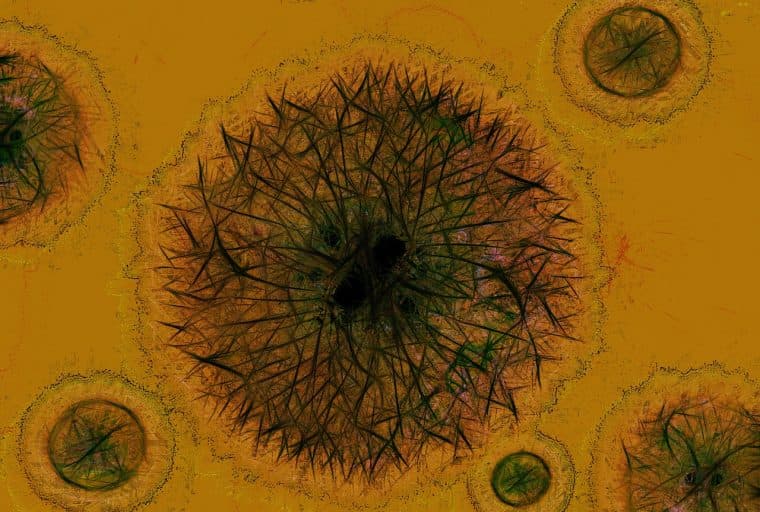 Cash is Literally Crappy Compared to Bitcoin, Study Finds