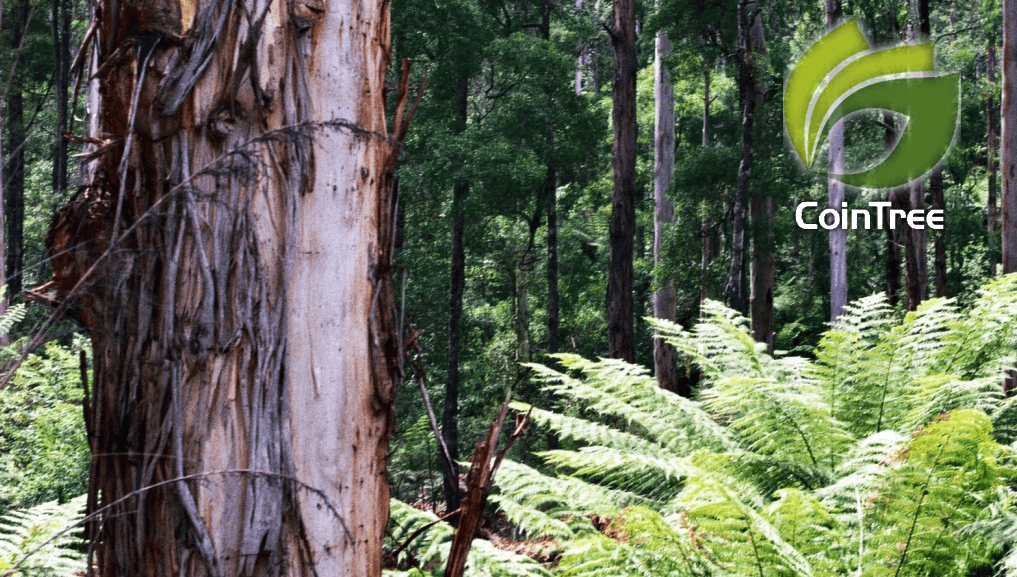 Australian bitcoin exchange CoinTree introduce regular purchases feature