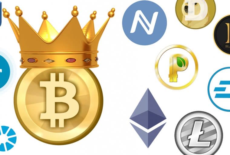 Bitcoin Maximalism Remains as Competitors Rise