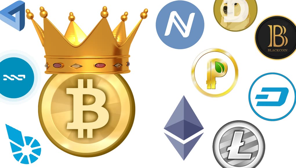 Bitcoin Maximalism Remains as Competitors Rise