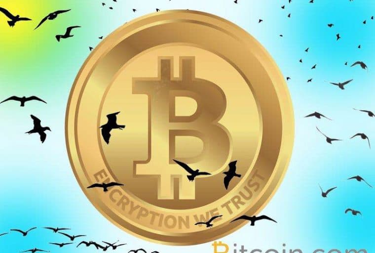 Bitcoin.com Presents 'Birds': Promote Your Tweets With Bitcoin