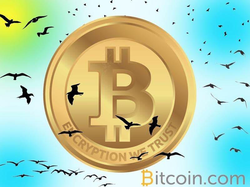 Bitcoin.com Presents 'Birds': Promote Your Tweets With Bitcoin