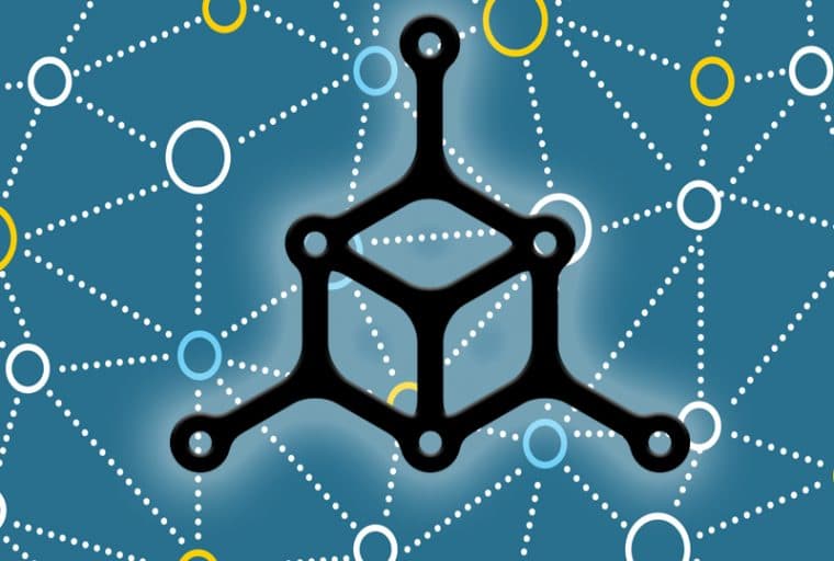 An In Depth Interview with Rassah From Mycelium