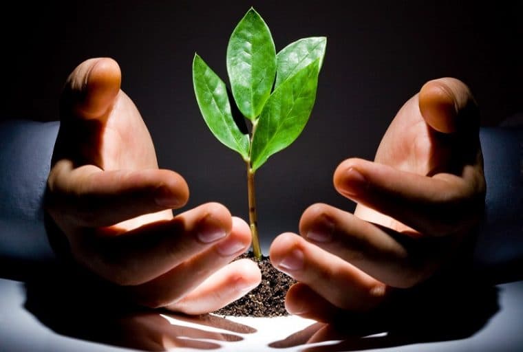 Augur Core Developer Joey Krug Becomes Thiel Fellow