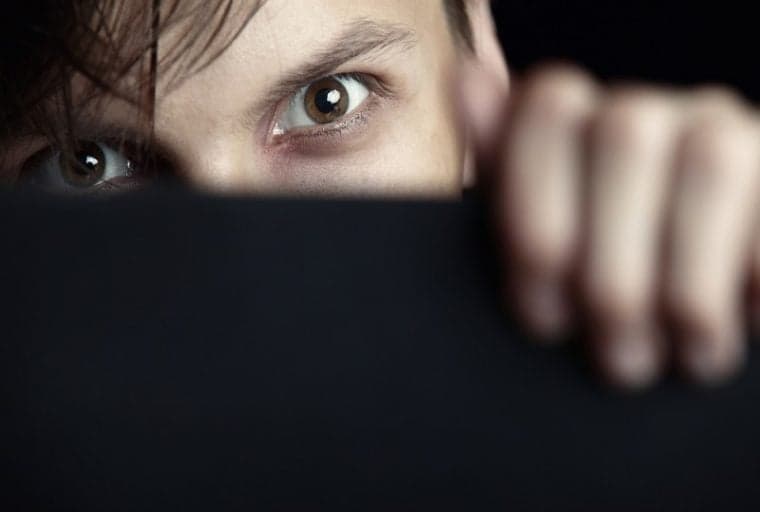 Seafile Drops PayPal After Refusing to Spy On Users