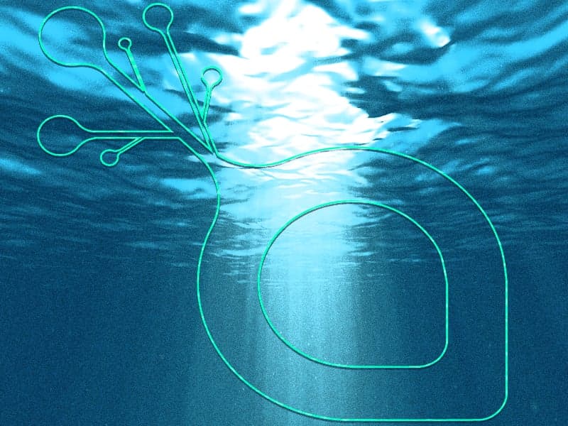 Decentralized Storage Platform Sia Comes Out of Beta