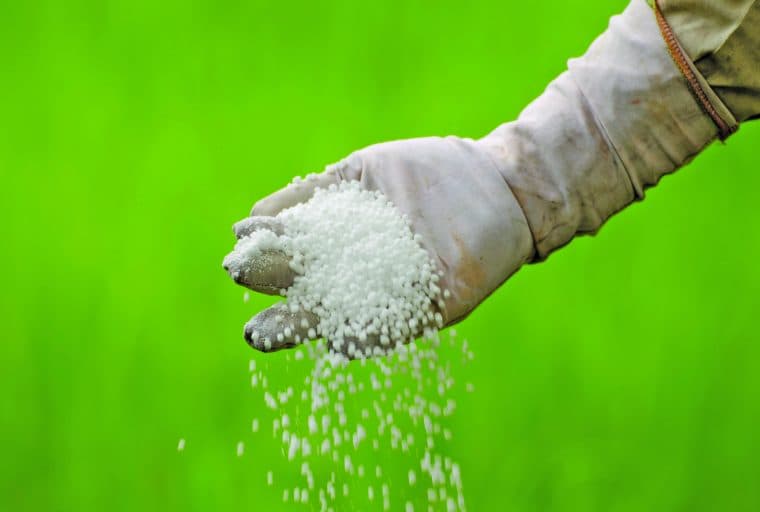 Urea-lly Fell For It? UroCoin Disappears Down the Drain