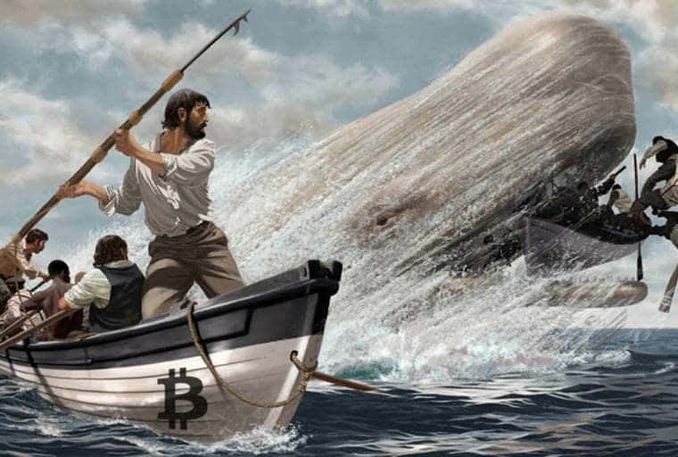 Bitcoin 'Whales' Vote in Favor of Larger Tx Blocks