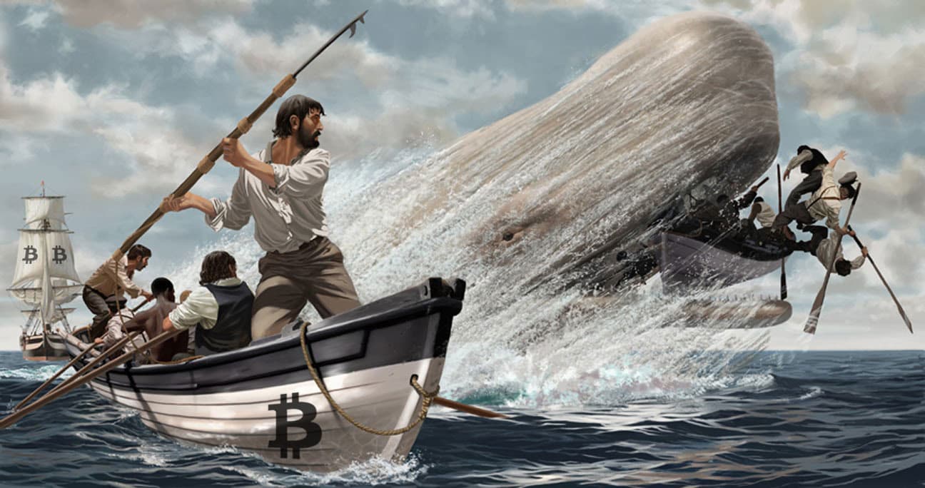 Bitcoin 'Whales' Vote in Favor of Larger Tx Blocks