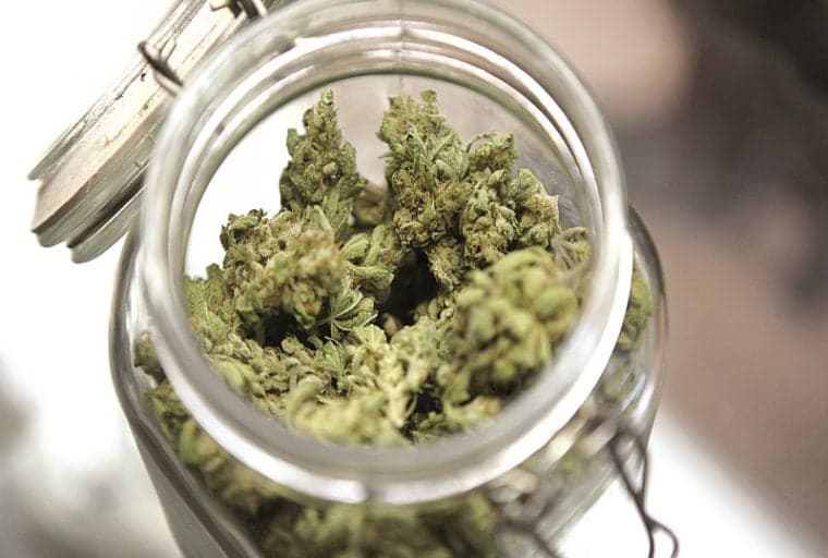 Trees Joins Growing Alt-Payments Industry for Medical Marijuana