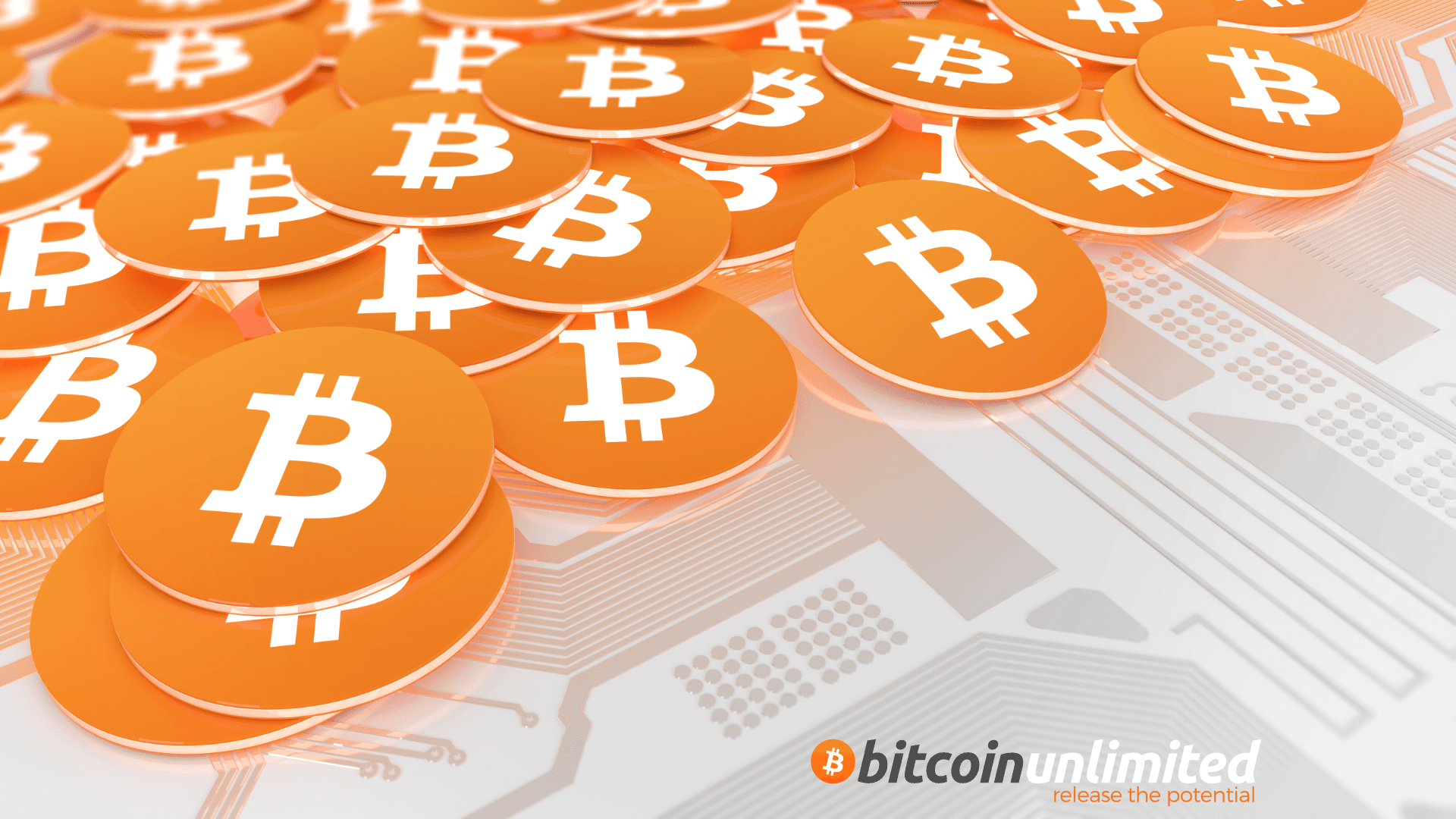 'Bitcoin Unlimited' Reveals $500k Donation, Formal US Registration