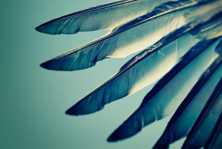 WINGS: The New DAO on the Block Says it Won't Fail Like Slock.it