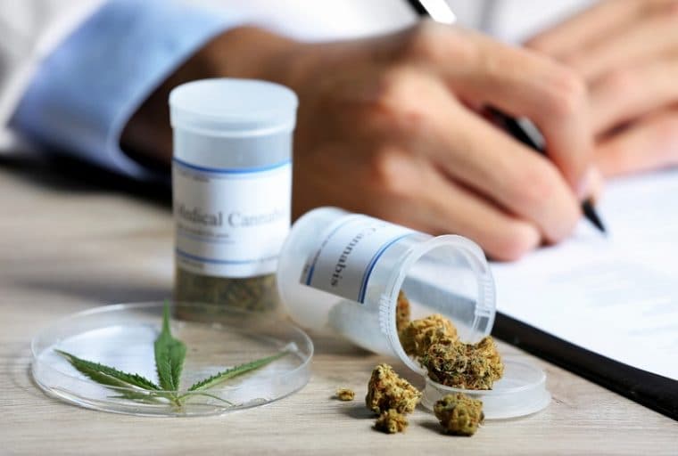 Cannabis Strains on Bitcoin’s Blockchain a Relief for Patients, Growers