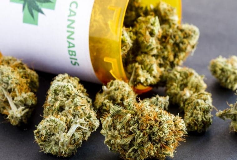 'First Sanctioned' Bitcoin POS Tools for Cannabis Hit Cali, Oregon