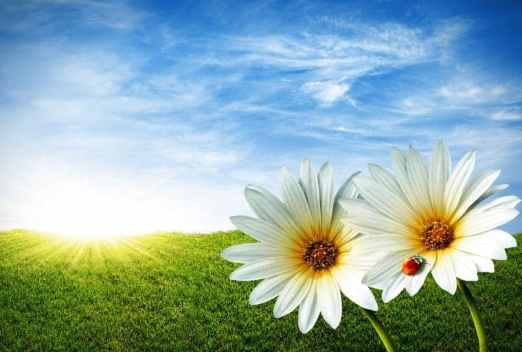 Bitcoin is Tapping Into the Laws of Nature - Part 1