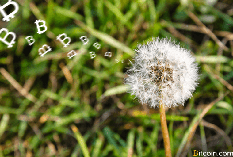 The Race Towards Truly Anonymous Cryptocurrency Is On