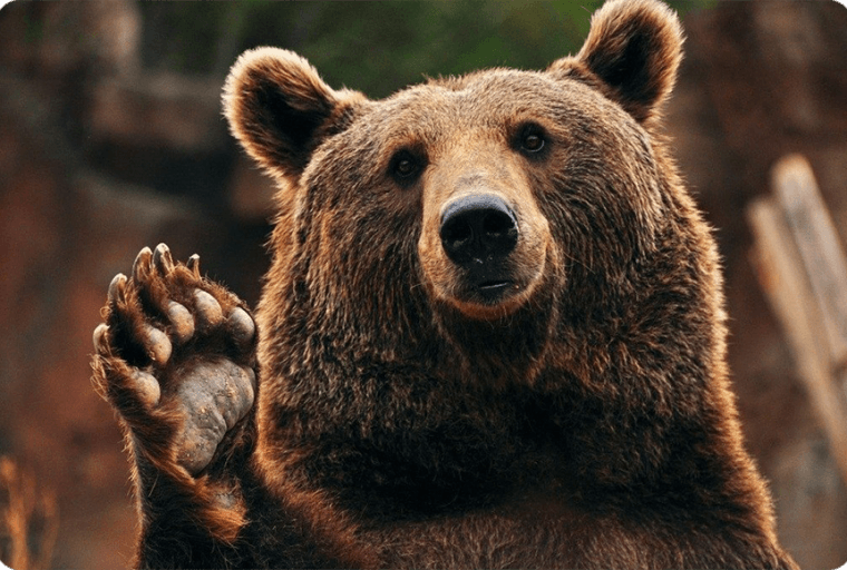 SibCoin Offers a Simple Cross-border Money Transfer Solution