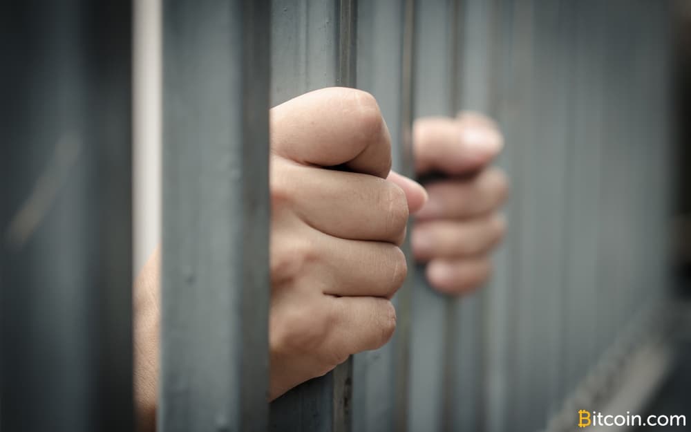 Ulbricht's Mother Reflects on the Anniversary of Her Son's Double Life Sentence