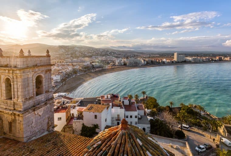 Mycelium Employee Quits After ICO Funds Was "Used for Vacation"