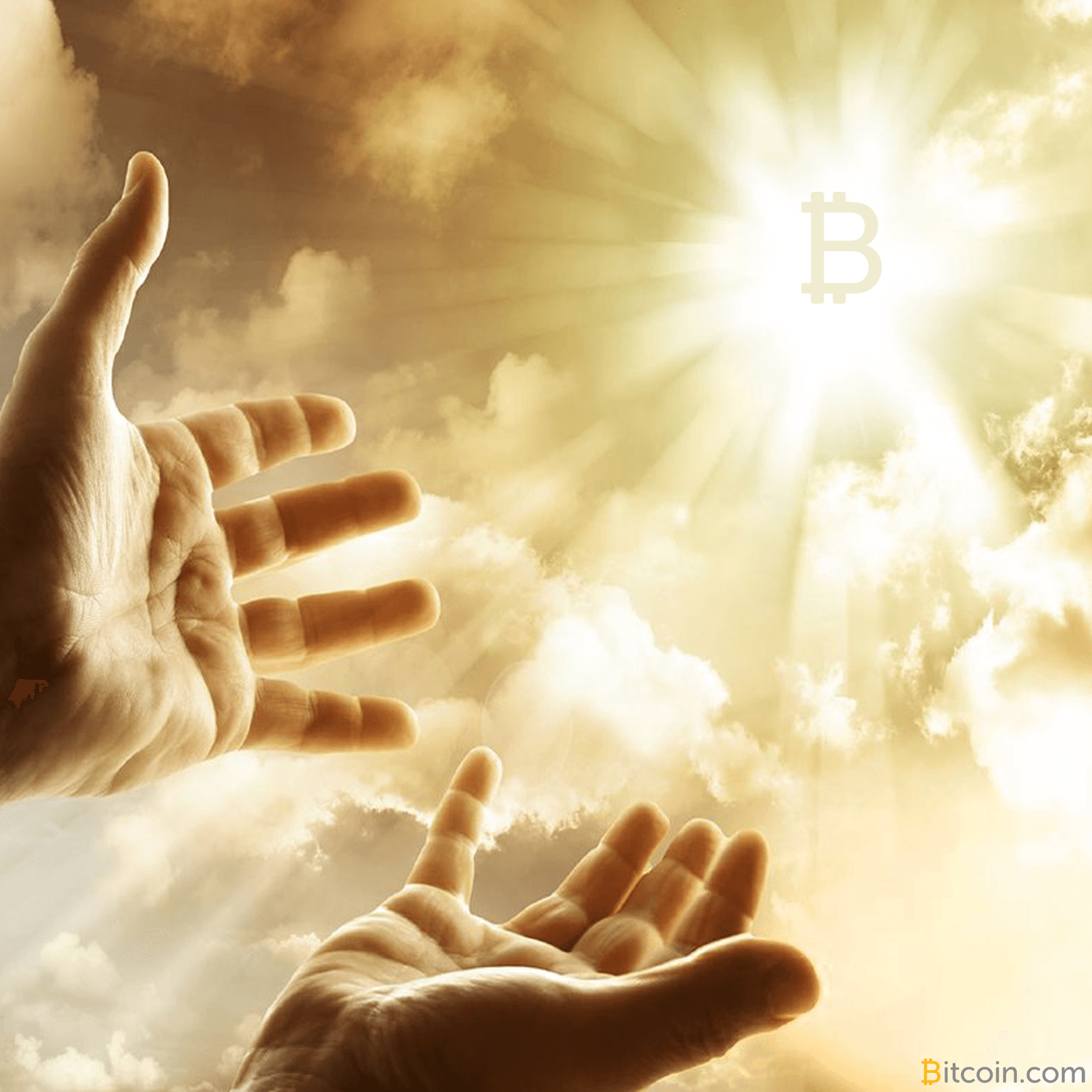 Nakamoto Institute Daniel Krawisz: "I Don't Like Altcoins, but I Like Forks"