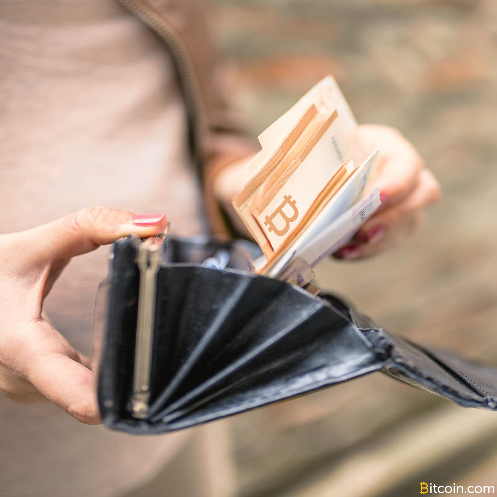 Meet the K-7 Offline Paper Wallet Generator