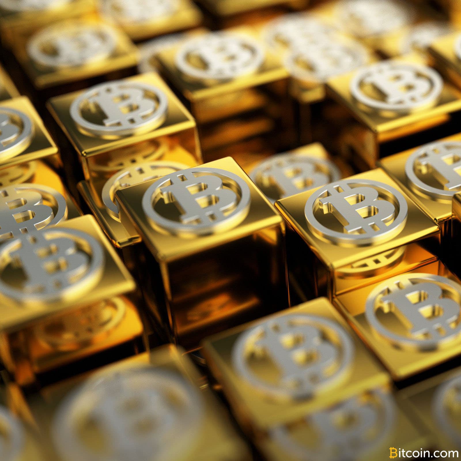 Bitcoin Gold Addresses 'Scam' Wallet and Premine Endowment Process