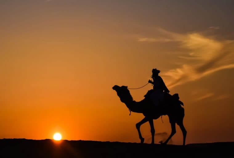 Openbazaar Sees a Variety of New Vendors After Privacy Enhancements