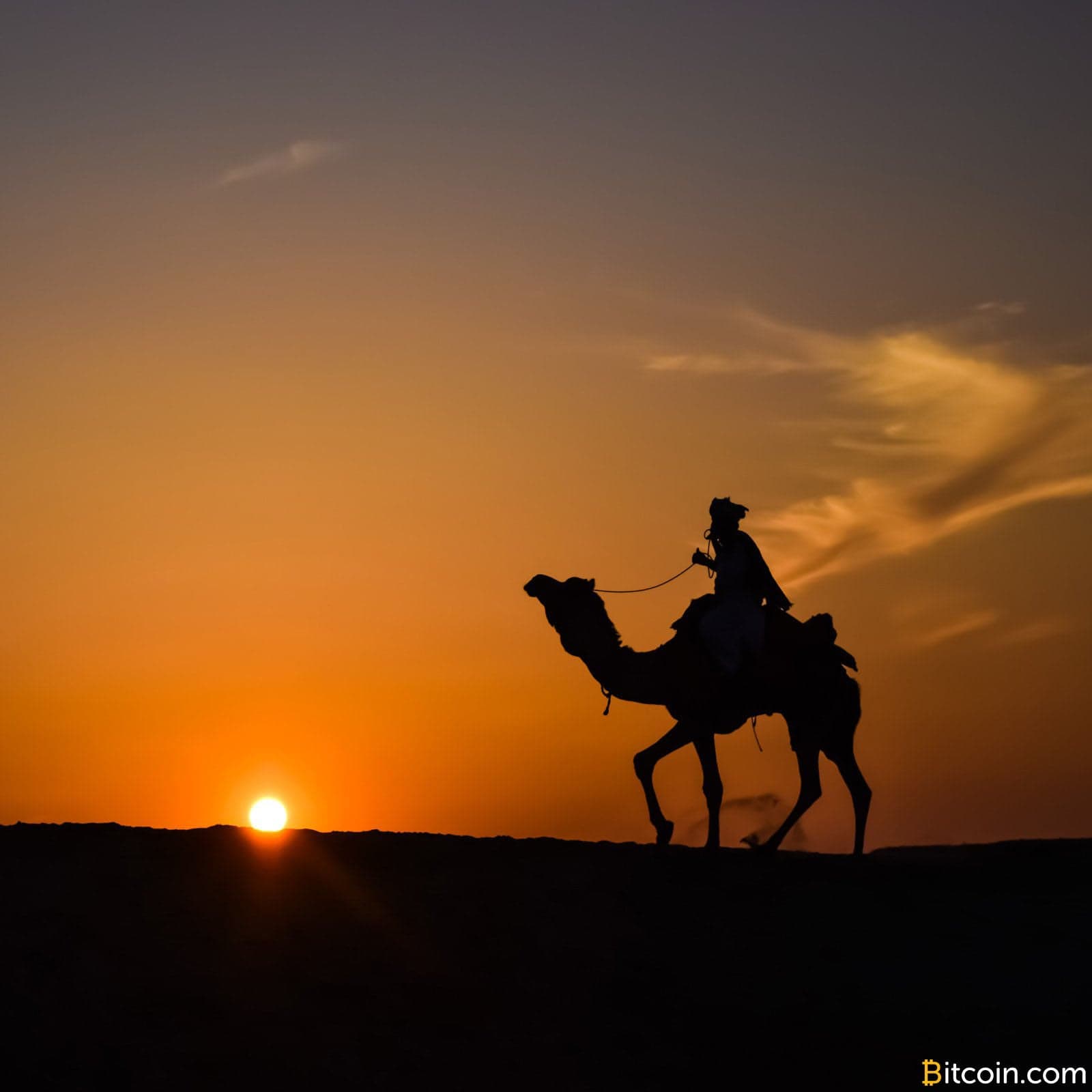 Openbazaar Sees a Variety of New Vendors After Privacy Enhancements