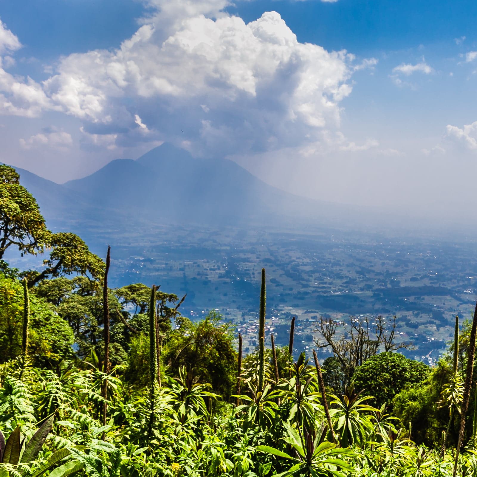 Paxful to Help Fund 100 Schools in Africa #BuiltWithBitcoin