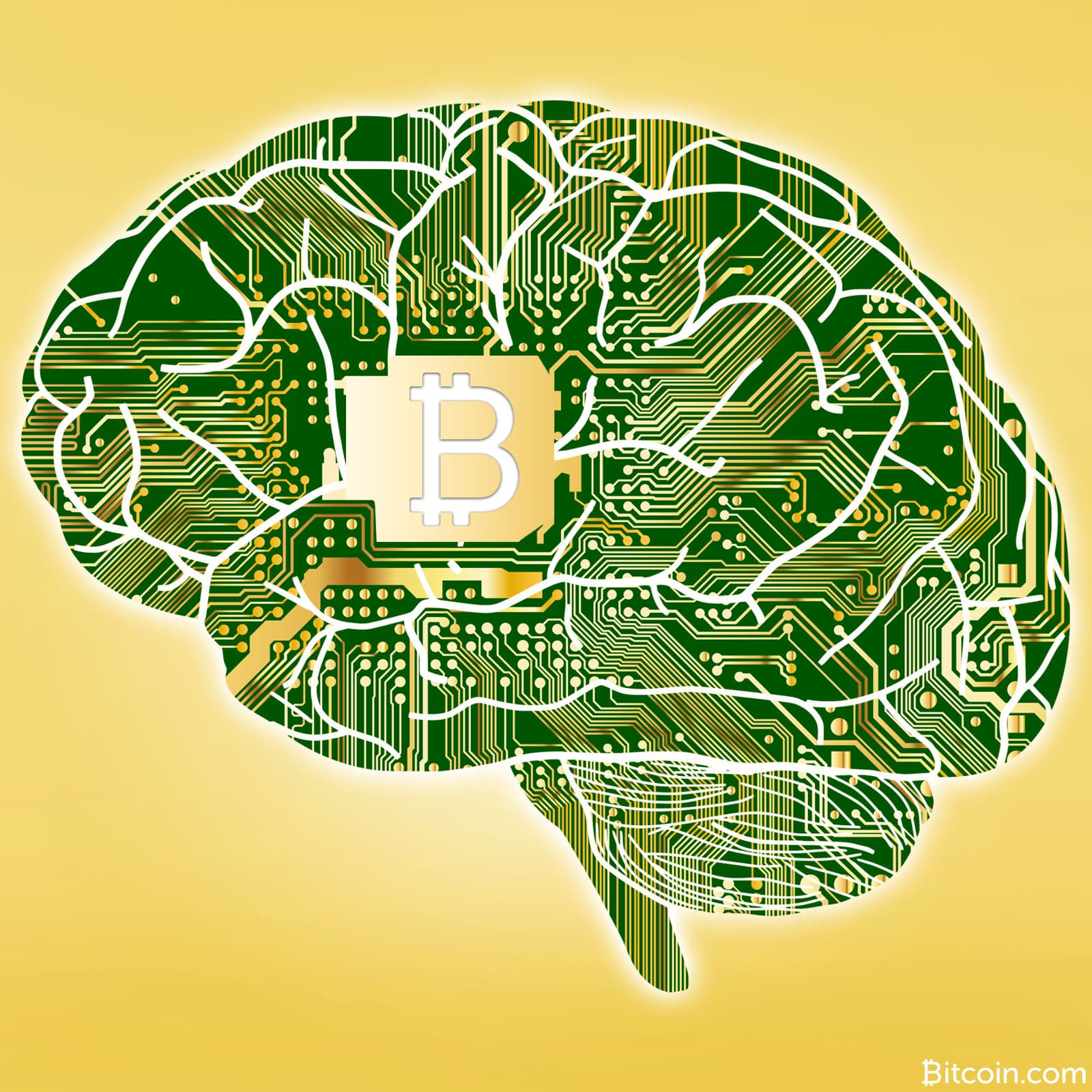 Big Short Author: Definitely a Link Between Bitcoin and the Chaos in the US Federal Government