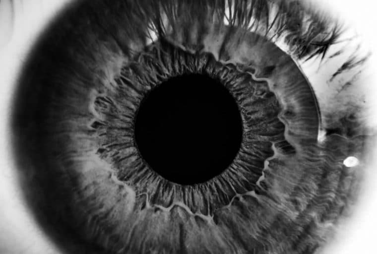 Icy Wallet for the Blind is Part of the "Inclusive Spirit of Bitcoin"