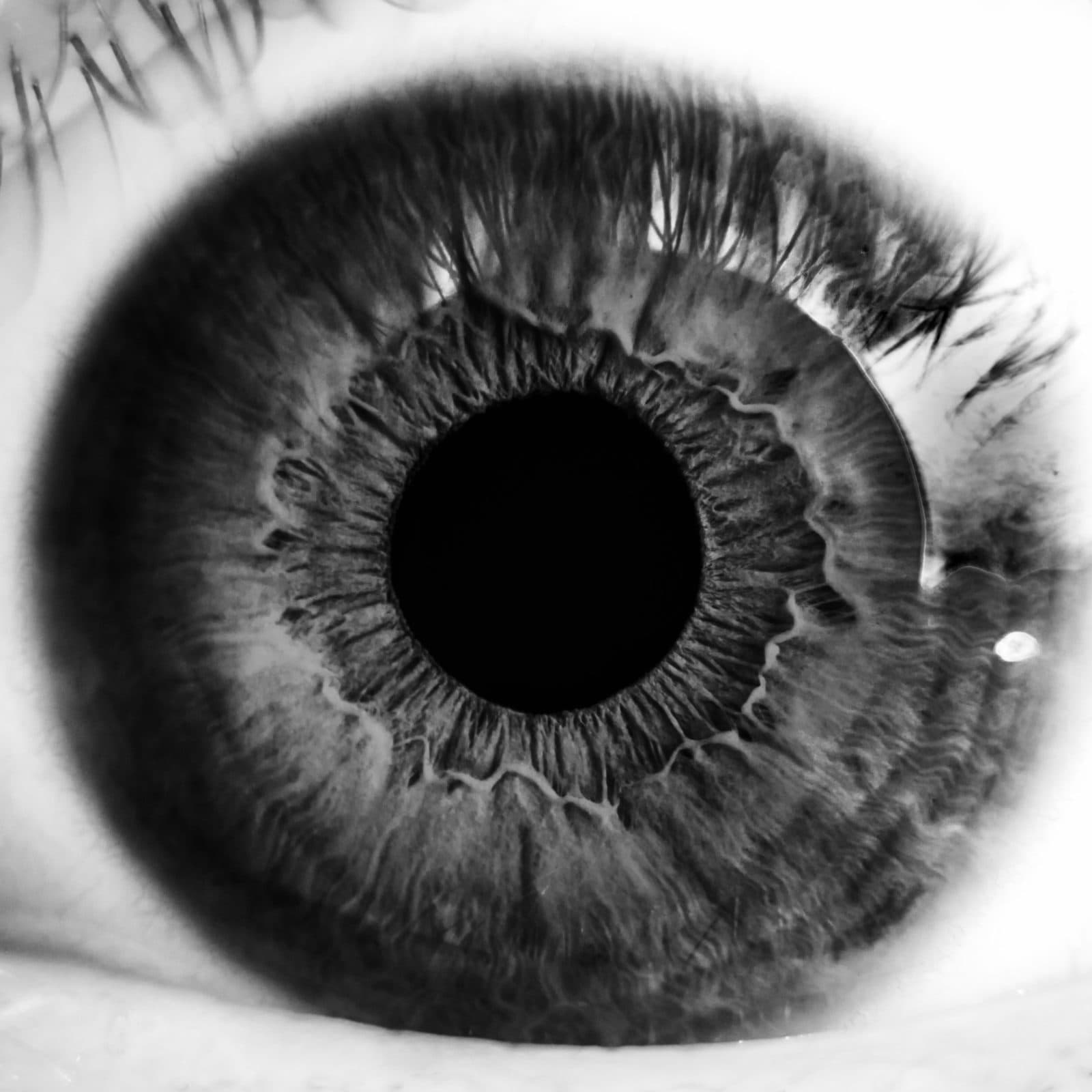 Icy Wallet for the Blind is Part of the "Inclusive Spirit of Bitcoin"