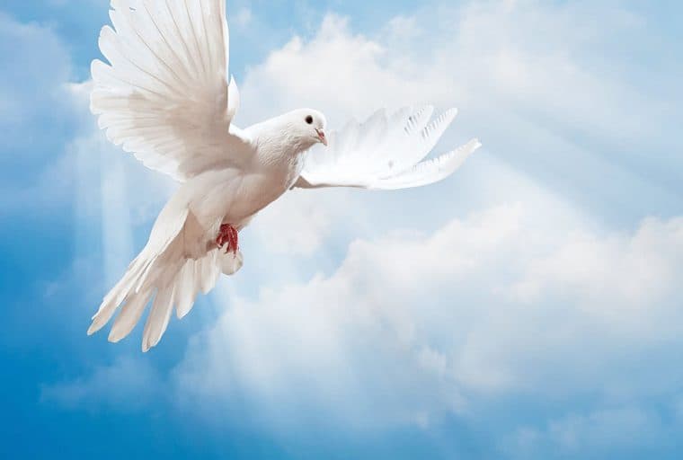 Antiwar.com Expands Cryptocurrency Acceptance for Enhanced Privacy