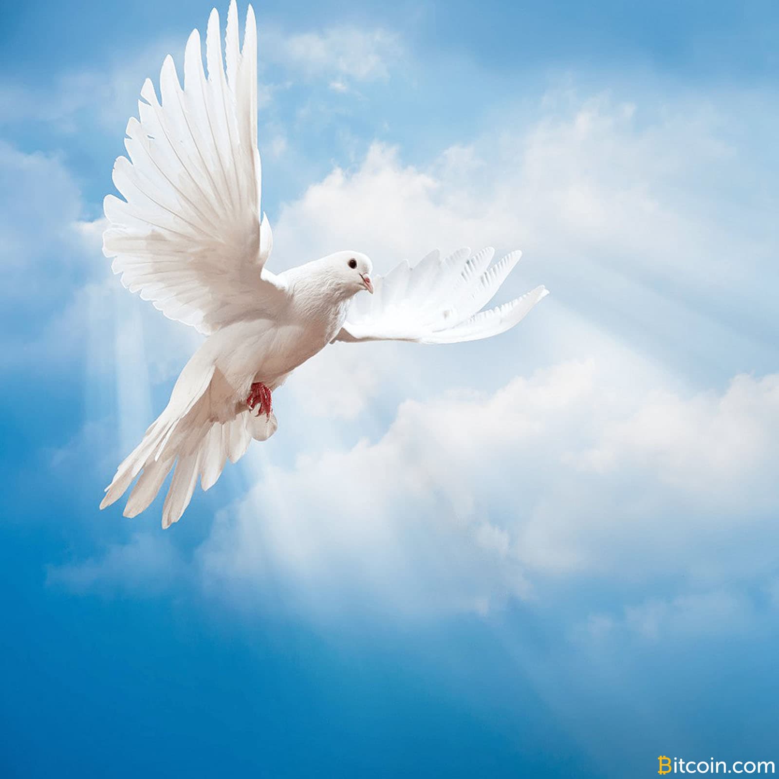 Antiwar.com Expands Cryptocurrency Acceptance for Enhanced Privacy