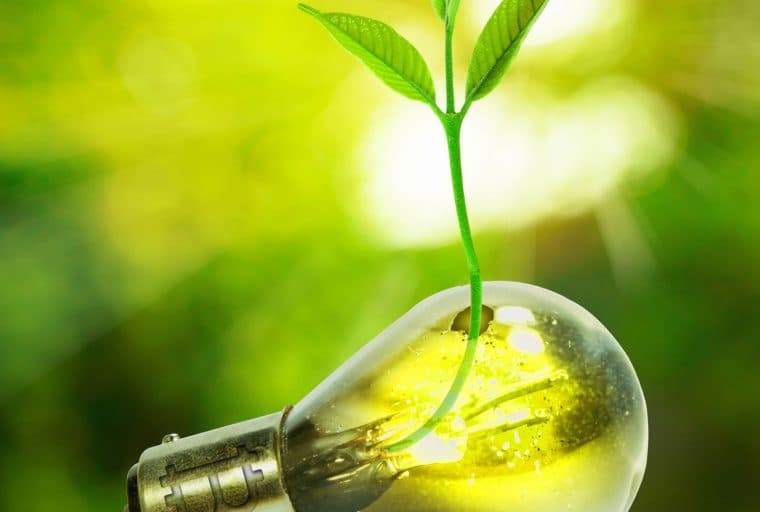 Japanese City Attracts Cryptocurrency Miners with Abundant Renewable Energy