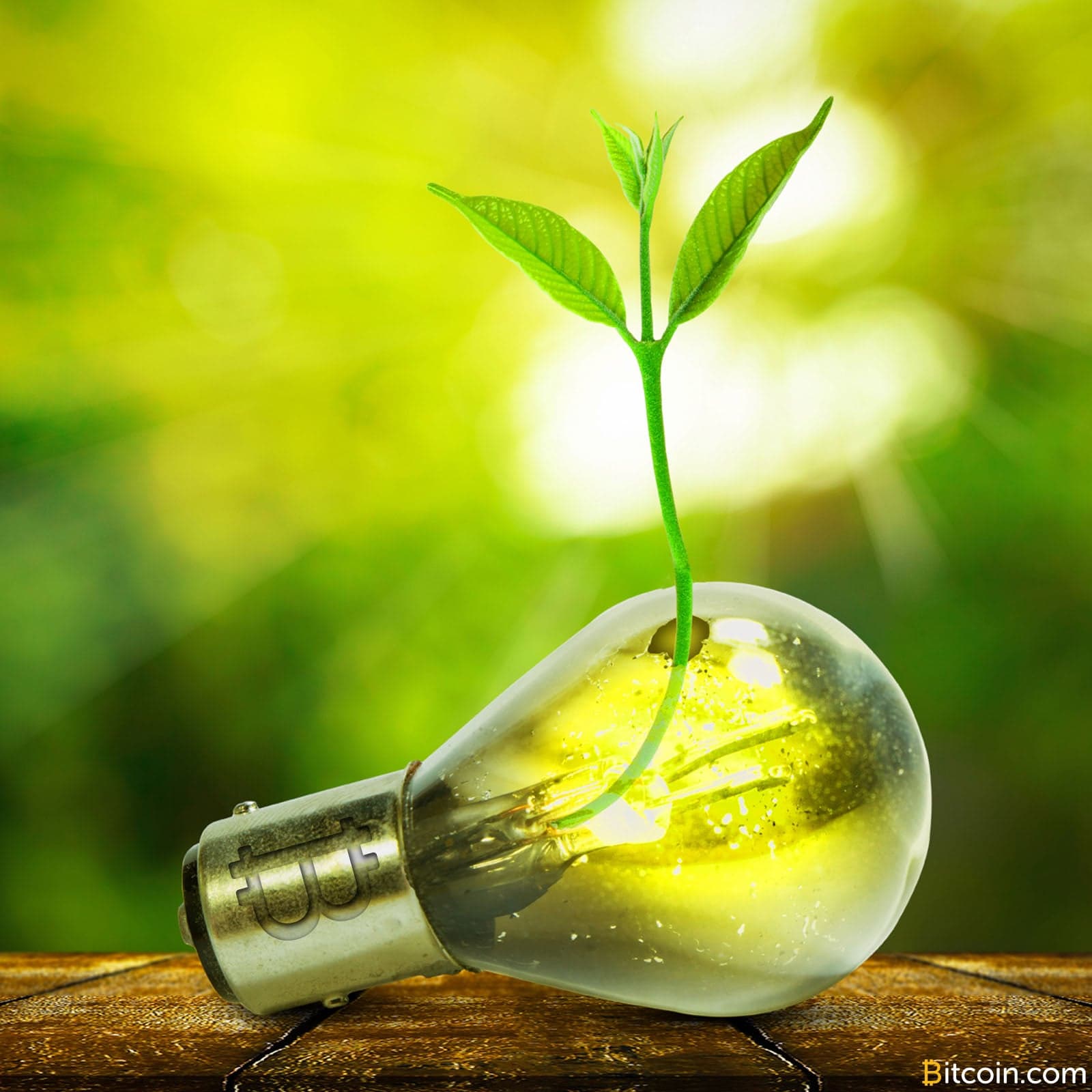 Japanese City Attracts Cryptocurrency Miners with Abundant Renewable Energy