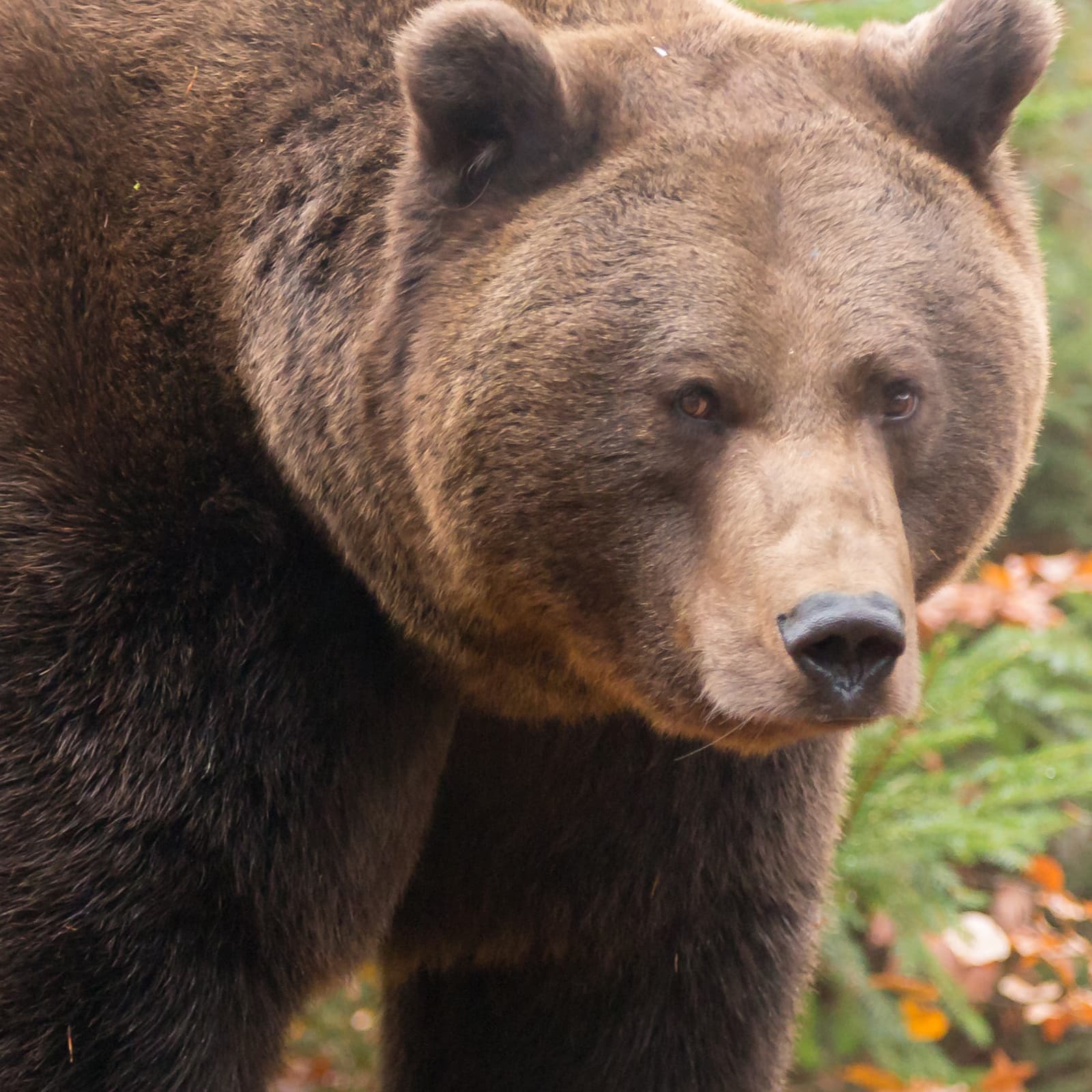 Thinking of Shorting Bitcoin Futures? GBTC Bears Nurse Big Losses