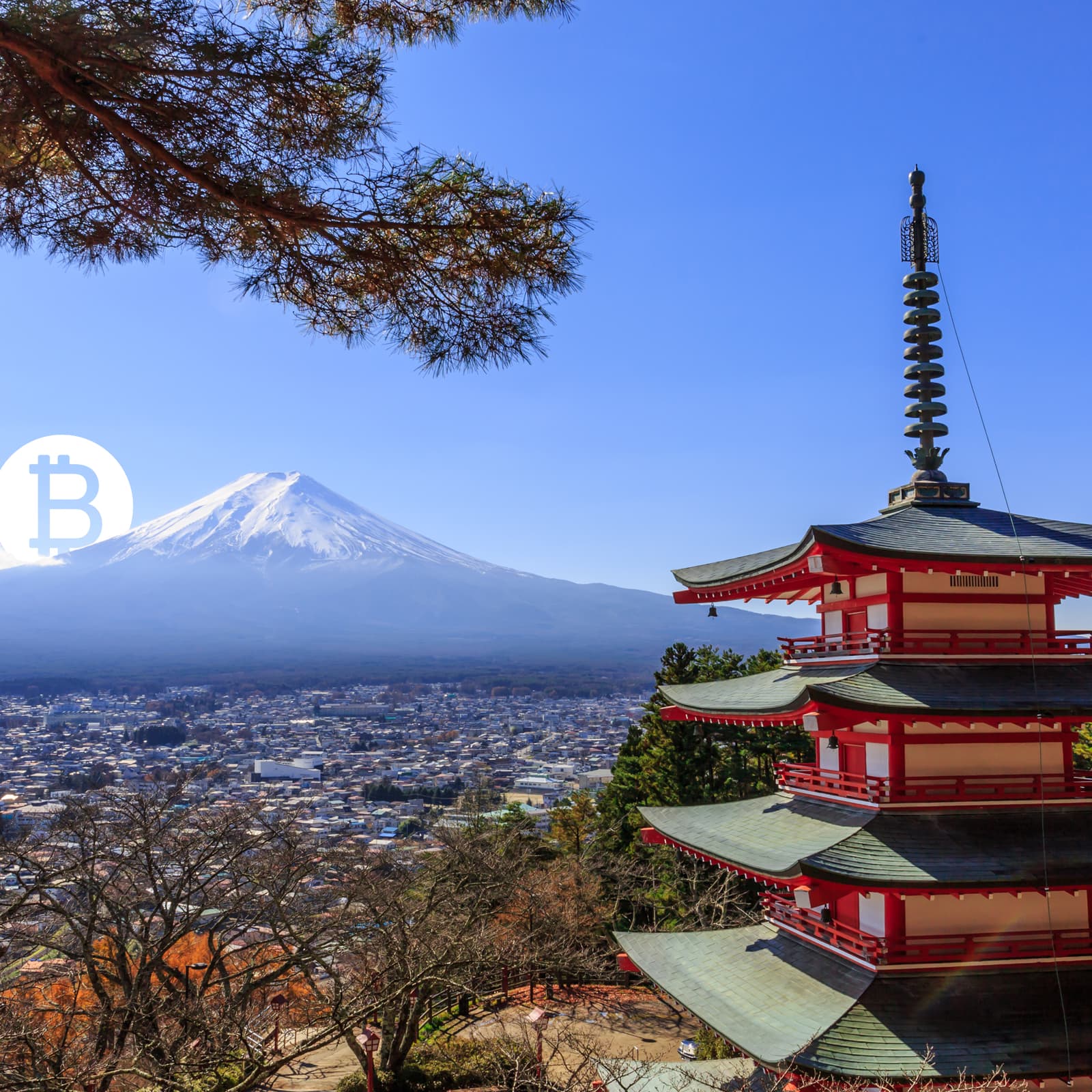 Bitflyer CEO Says Japan and Leverage Is Leading Bitcoin Markets Higher