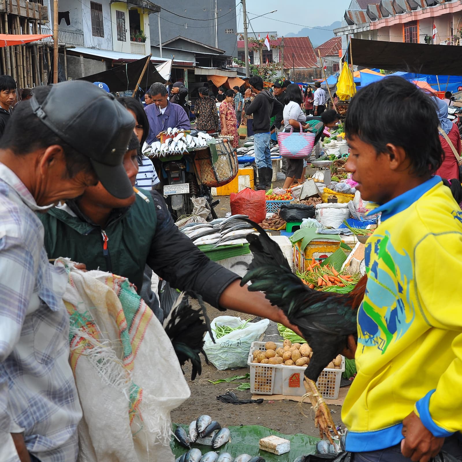 Malaysia Issues Proposed Digital Currency Regulations for Public Review