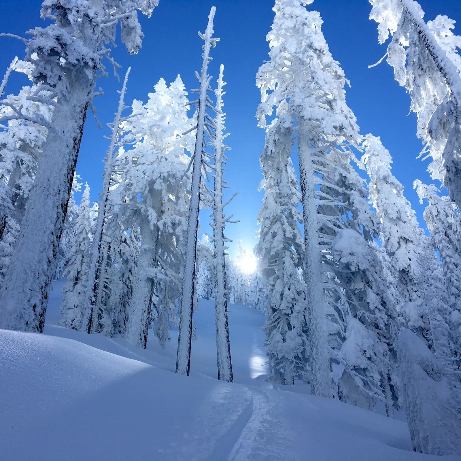 Australian Freeze: Big Aussie Banks Denying Bitcoiners